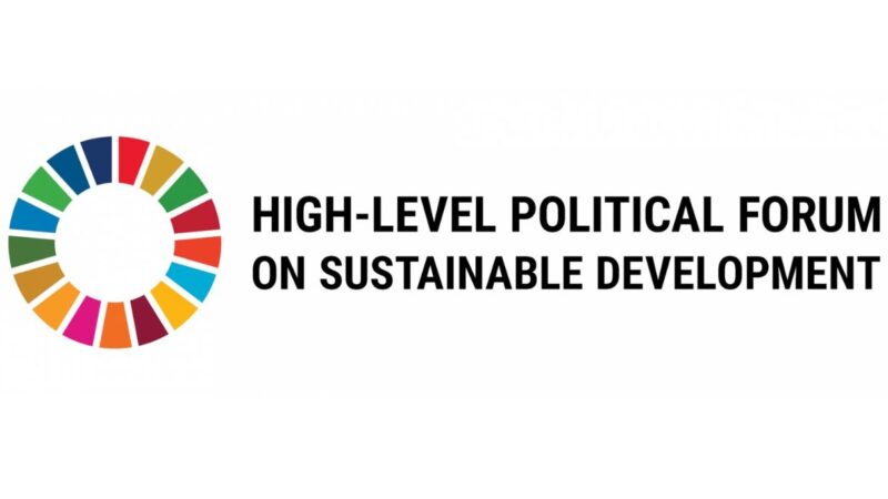 Turning the tide on child institutionalisation to reinforce the 2030 Agenda: Our recommendations ahead of the UN High-Level Political Forum 2024