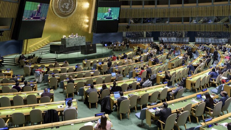 The UN General Assembly
