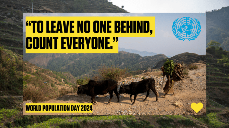 A photo of cows on a hill, with text for World Population Day, saying 
